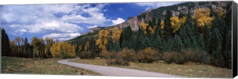 Framed Road passing through a forest, Jackson Guard Station, Ridgway, Colorado, USA Print