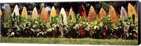 Framed Surfboard fence in a garden, Maui, Hawaii, USA Print