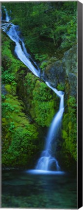 Framed Waterfall in a forest, Sullivan Falls, Opal Creek Wilderness, Oregon, USA Print