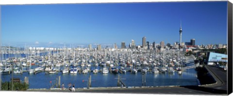 Framed Yachts at Waitemata Harbor, Sky Tower, Auckland, North Island, New Zealand Print