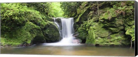 Framed Water in a forest, Geroldsau Waterfall, Black Forest, Baden-Wurttemberg, Germany Print