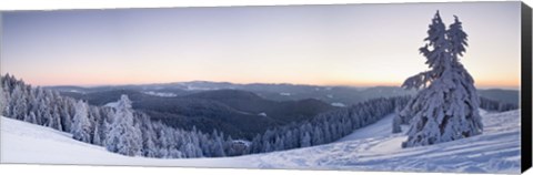 Framed Snow covered trees on a hill, Belchen Mountain, Black Forest, Baden-Wurttemberg, Germany Print