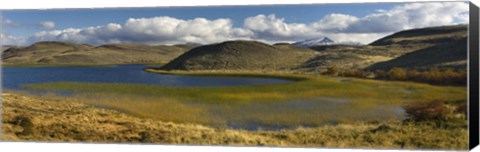 Framed Pond with sedges, Torres del Paine National Park, Chile Print