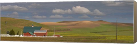 Framed Barn and fields, Palouse, Colfax, Washington State, USA Print