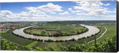 Framed High angle view of vineyards, Neckar River, Mundelsheim, Baden-Wurttemberg, Germany Print