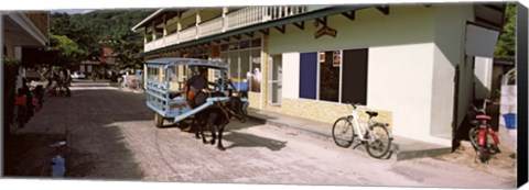 Framed Ox-drawn cart in a street, La Digue Island, Seychelles Print