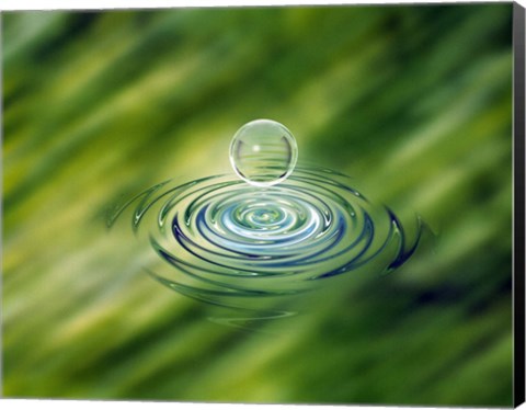 Framed Clear bubble rising from ripples in mottled green water Print