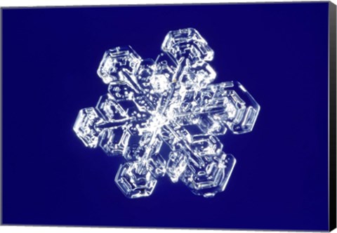 Framed Snowflake 2 Print