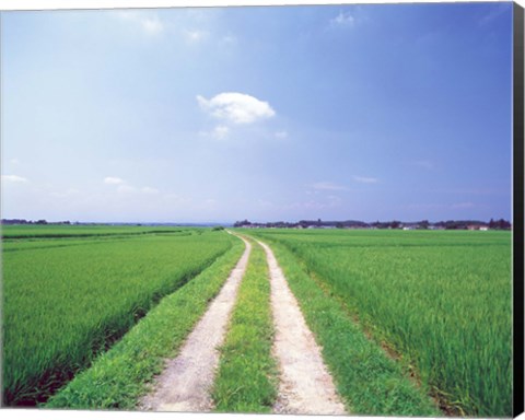 Framed Rural road between crop fields Print