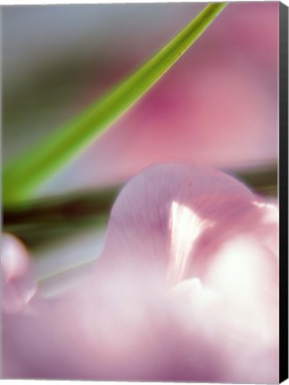 Framed Purple Flower and green leaf Print