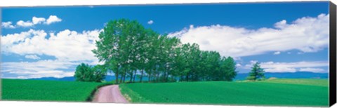 Framed Dirt Road through Fields, Biei-Cho Hokkaido Japan Print