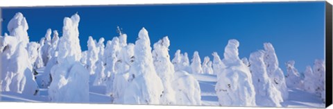 Framed Snow Covered Trees, Zao Yamagata Japan Print