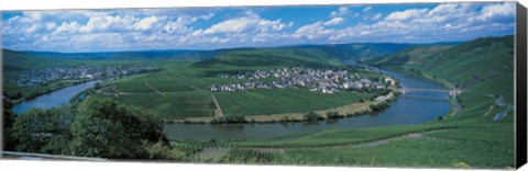 Framed Vineyard Moselle River Germany Print