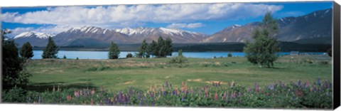 Framed Tekapo Lake South Island New Zealand Print