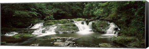 Framed Dingmans Creek flowing through a forest, Dingmans Falls Area, Delaware Water Gap National Recreation Area, Pennsylvania, USA Print