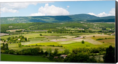 Framed High angle view of a field, Sault, Vaucluse, Provence-Alpes-Cote d&#39;Azur, France Print