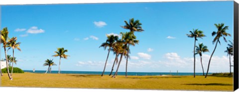 Framed Palm trees on the beach, Lauderdale, Florida, USA Print