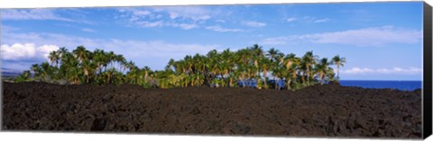 Framed Palm trees on the beach, Keawaiki Bay, Hawaii, USA Print