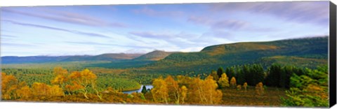 Framed Autumn trees at Loch an Eilein, Rothiemurchus Forest, Aviemore, Cairngorms National Park, Highlands Region, Scotland Print