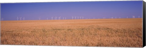 Framed Wind farm at Panhandle area, Texas, USA Print