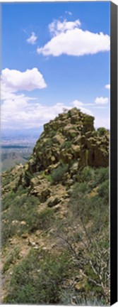 Framed Tucson Mountain Park facing East, Tucson, Arizona, USA Print