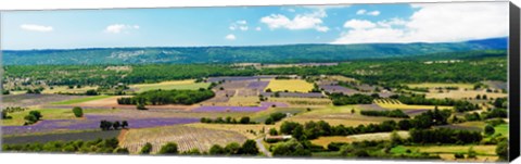 Framed Aerial view of fields, Provence-Alpes-Cote d&#39;Azur, France Print