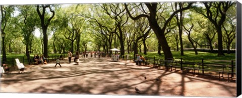 Framed Central Park, New York City, New York State Print