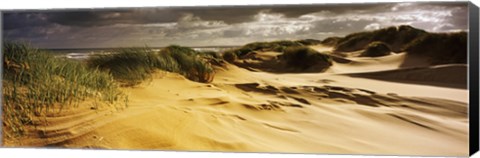 Framed Marram grass on the beach, Sands of Forvie, Newburgh, Aberdeenshire, Scotland Print