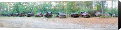 Framed Old rusty cars and trucks in a field, Crawfordville, Wakulla County, Florida, USA Print