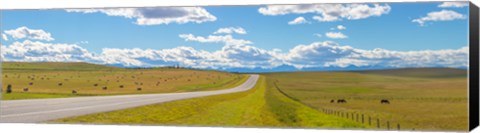 Framed Road passing through a field, Alberta, Canada Print