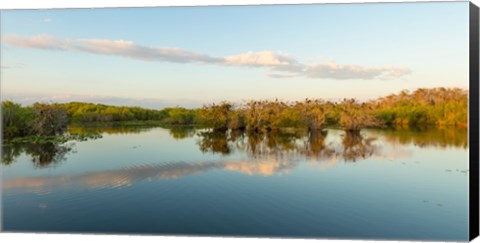 Framed Anhinga Trail, Everglades National Park, Florida Print