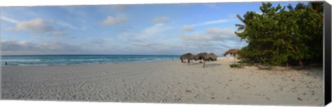 Framed Sunshades on the beach, Varadero, Matanzas Province, Cuba Print