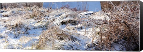 Framed Snow covered hill, Saint-Blaise-sur-Richelieu, Quebec, Canada Print