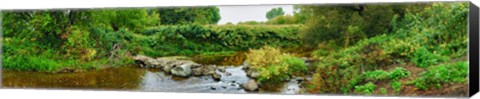 Framed River flowing through a forest, Acadia River, Quebec, Canada Print