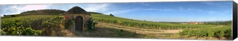 Framed Beaujolais vineyard, Saules, Saone-Et-Loire, Burgundy, France Print