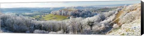 Framed Snow covered trees in a valley from Uley Bury, Downham Hill, Gloucestershire, England Print