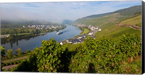 Framed Vineyards with village at riverfront, Mosel River, Kaimt Mosel Village, Mosel Valley, Rhineland-Palatinate, Germany Print