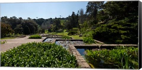 Framed Trees and aquatic plants in the garden, Mossen Cinto Verdaguer Gardens, Barcelona, Catalonia, Spain Print