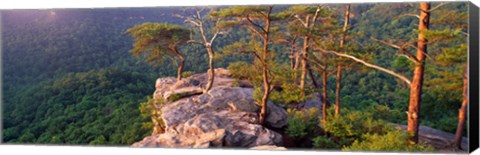 Framed Trees on a mountain, Buzzards&#39; Roost Fall Creek Falls State Park, Pikeville, Bledsoe County, Tennessee, USA Print