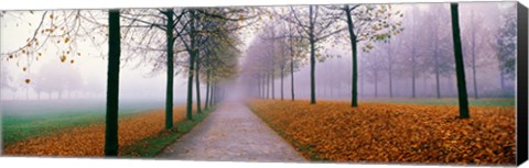 Framed Autumn in Schleissheim Bavaria Germany Print