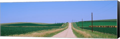 Framed Road along fields, Minnesota, USA Print