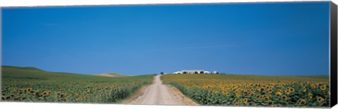 Framed Unpaved road Andalucia Spain Print