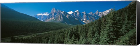 Framed Forest with Mountains in the Background, Banff National Park Canada Print