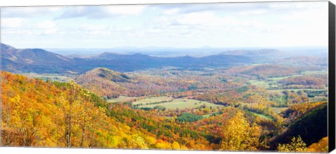 Framed Trees on a hill, North Carolina, USA Print