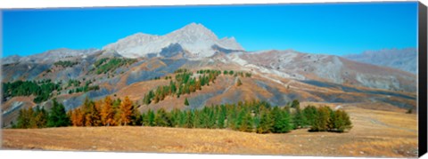 Framed Champs pass in autumn, French Riviera, Provence-Alpes-Cote d&#39;Azur, France Print