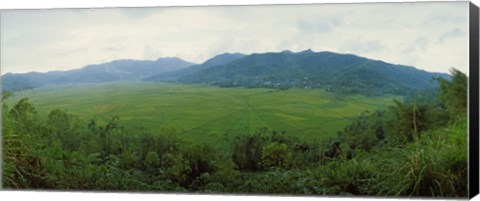 Framed Spider web rice field, Flores Island, Indonesia Print