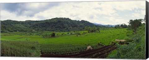 Framed Terraced rice field, Indonesia Print