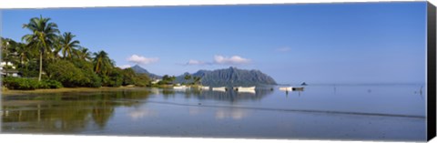 Framed Palm trees at a coast, Kaneohe Bay, Oahu, Hawaii, USA Print