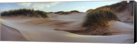 Framed Sculpted dunes at the Sands of Forvie, Newburgh, Aberdeenshire, Scotland Print