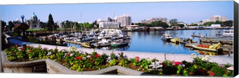 Framed Boats at Inner Harbor with Parliament Building in the background, Victoria, British Columbia, Canada Print